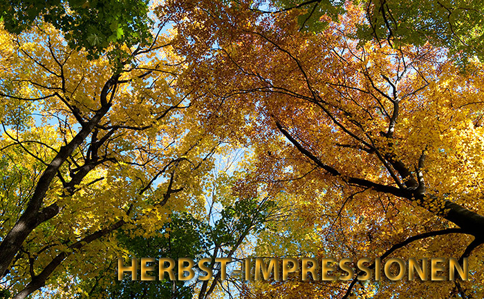 Herbst-Impressionen