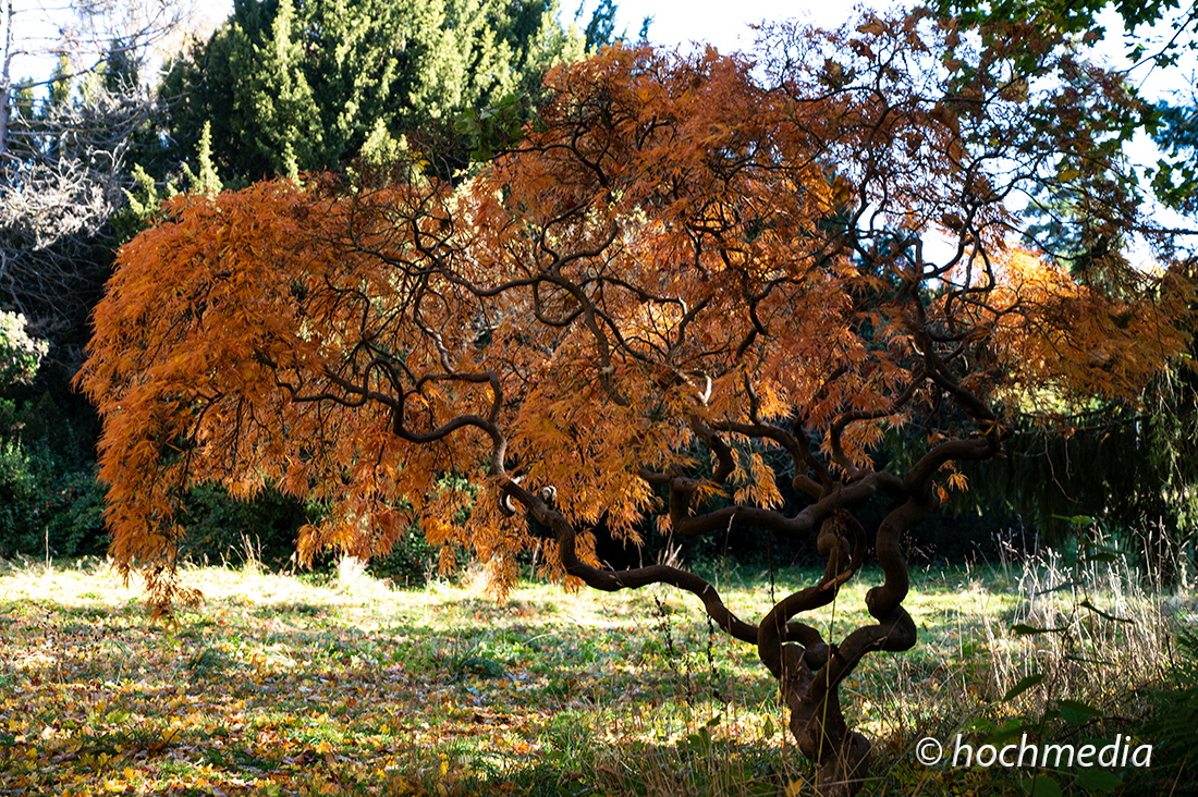 Herbstzauber